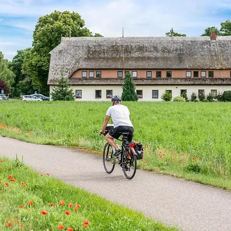 Stunning In Rechlin With Wifi